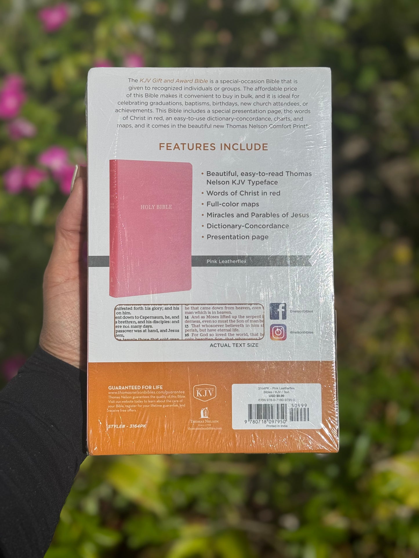 Pink KJV Bible