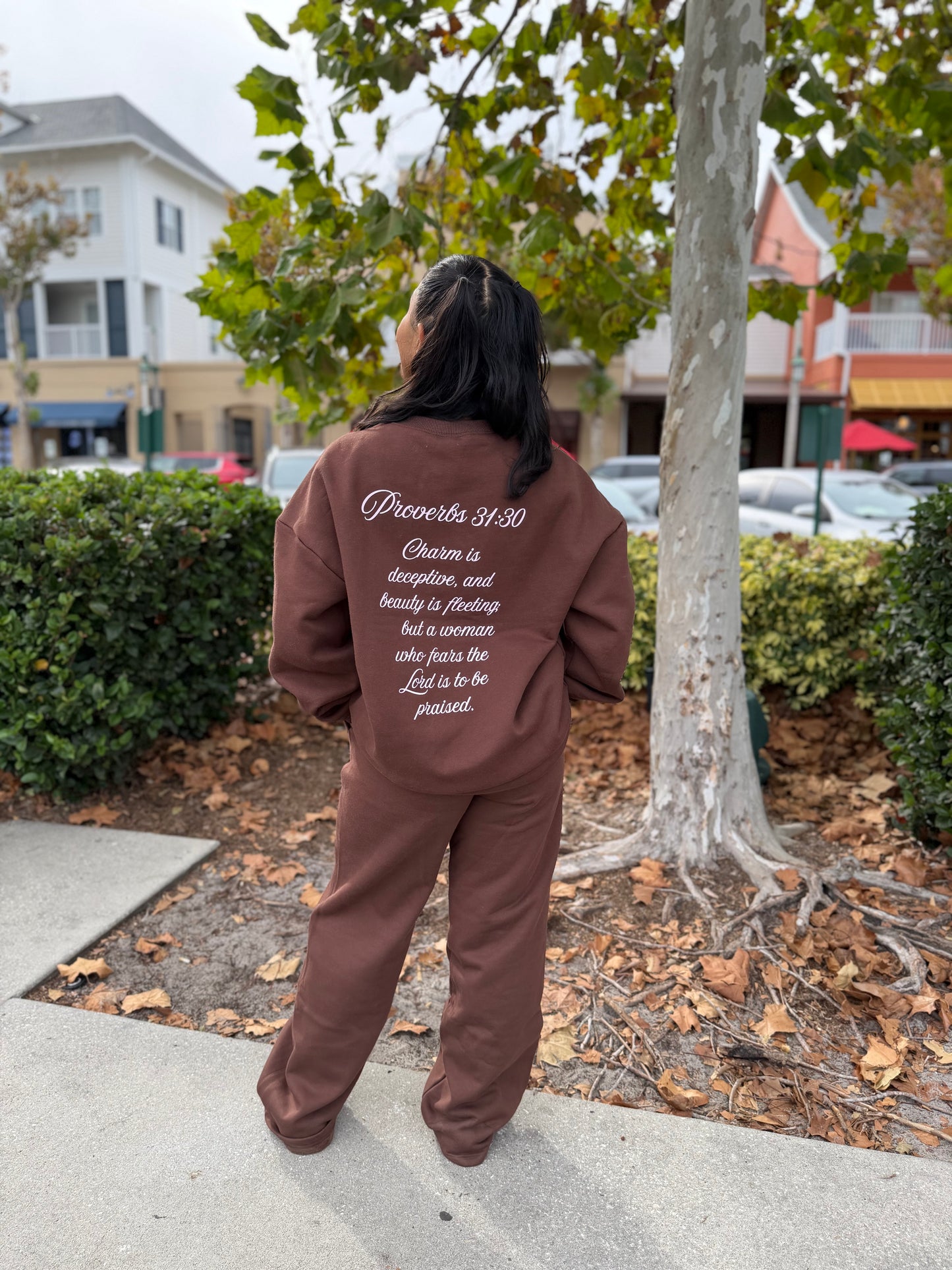 Proverbs 31 Brown T-Shirt
