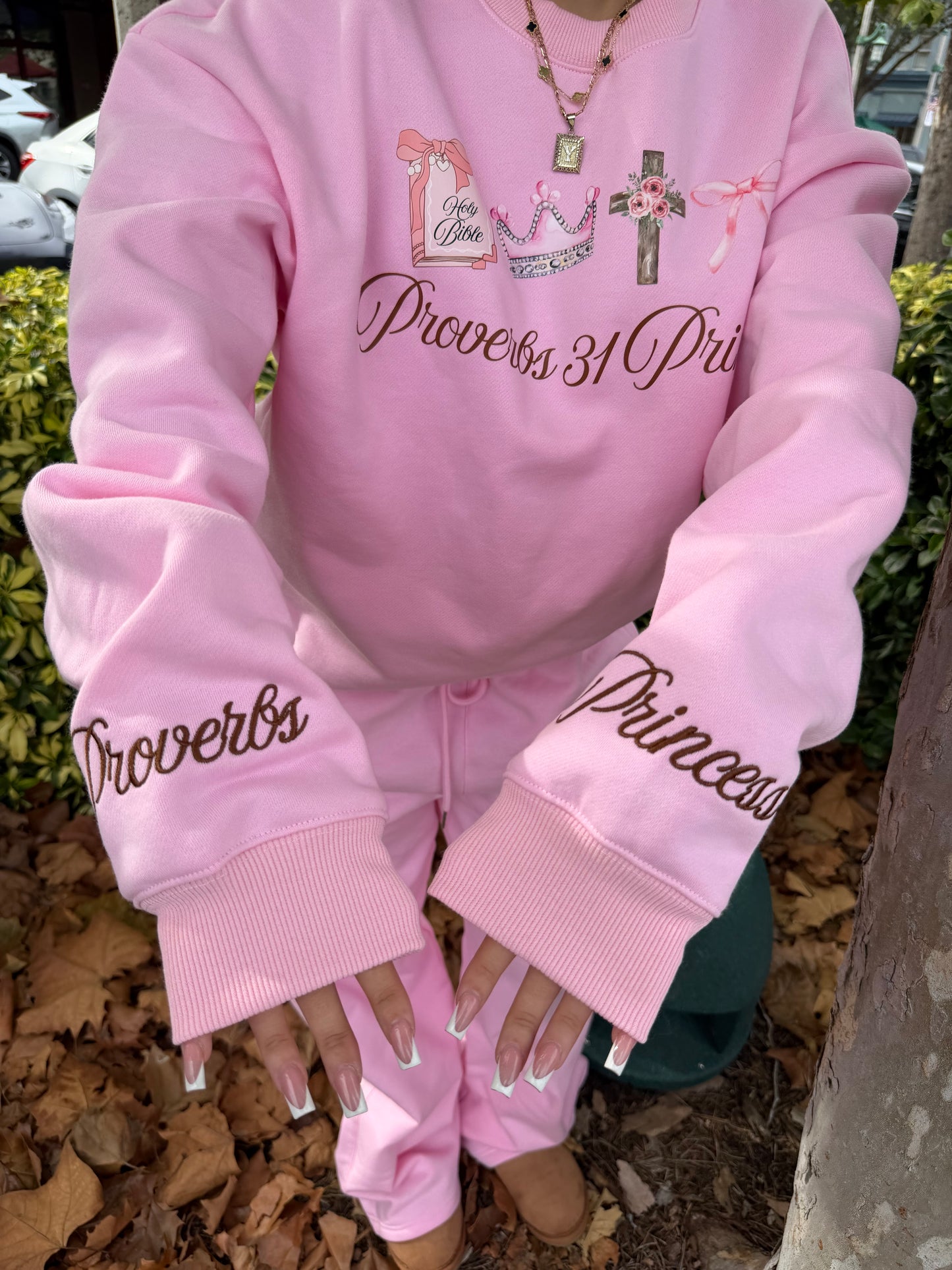 Proverbs 31 Pink Crewneck