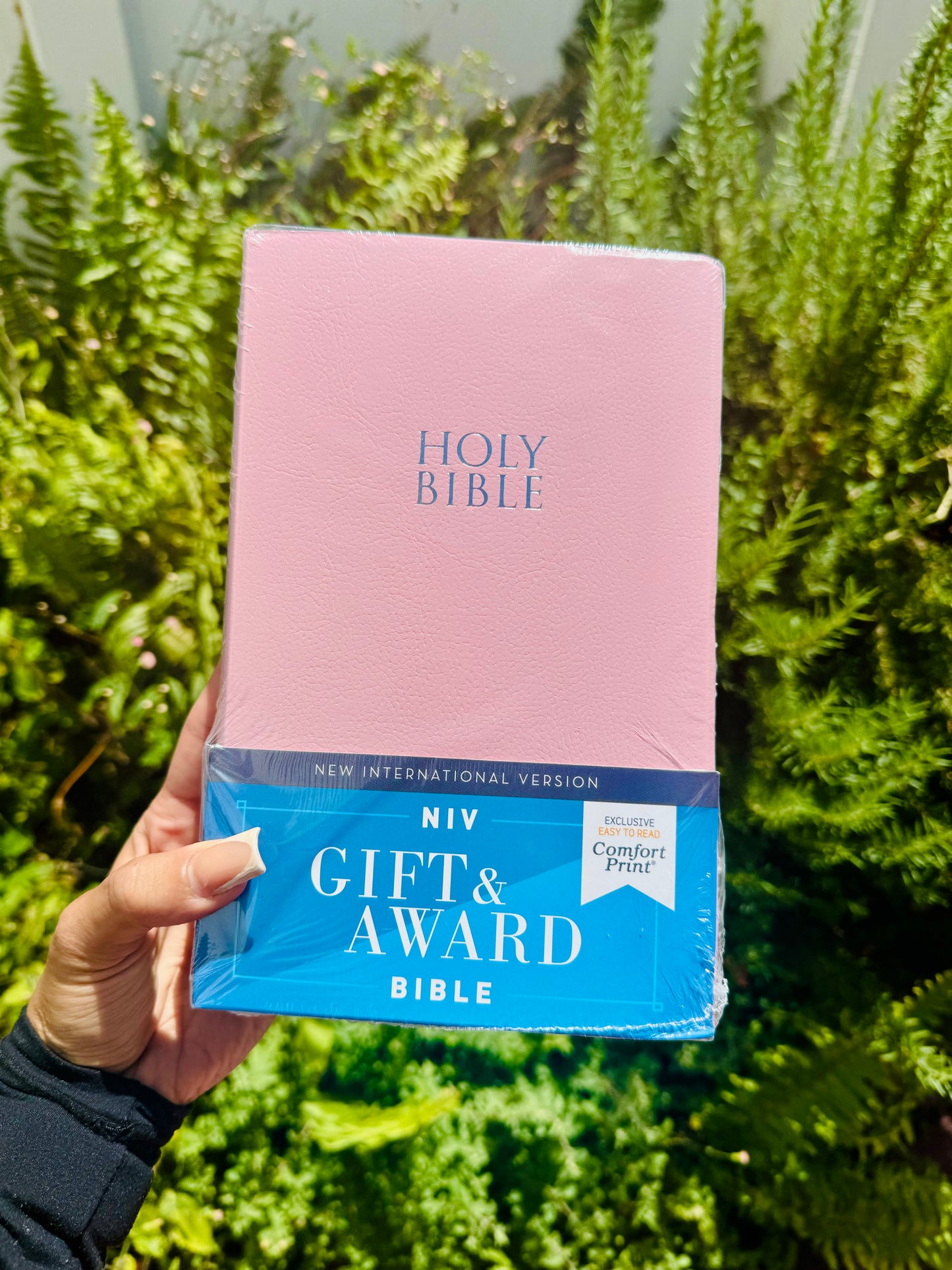 Pink NIV Bible