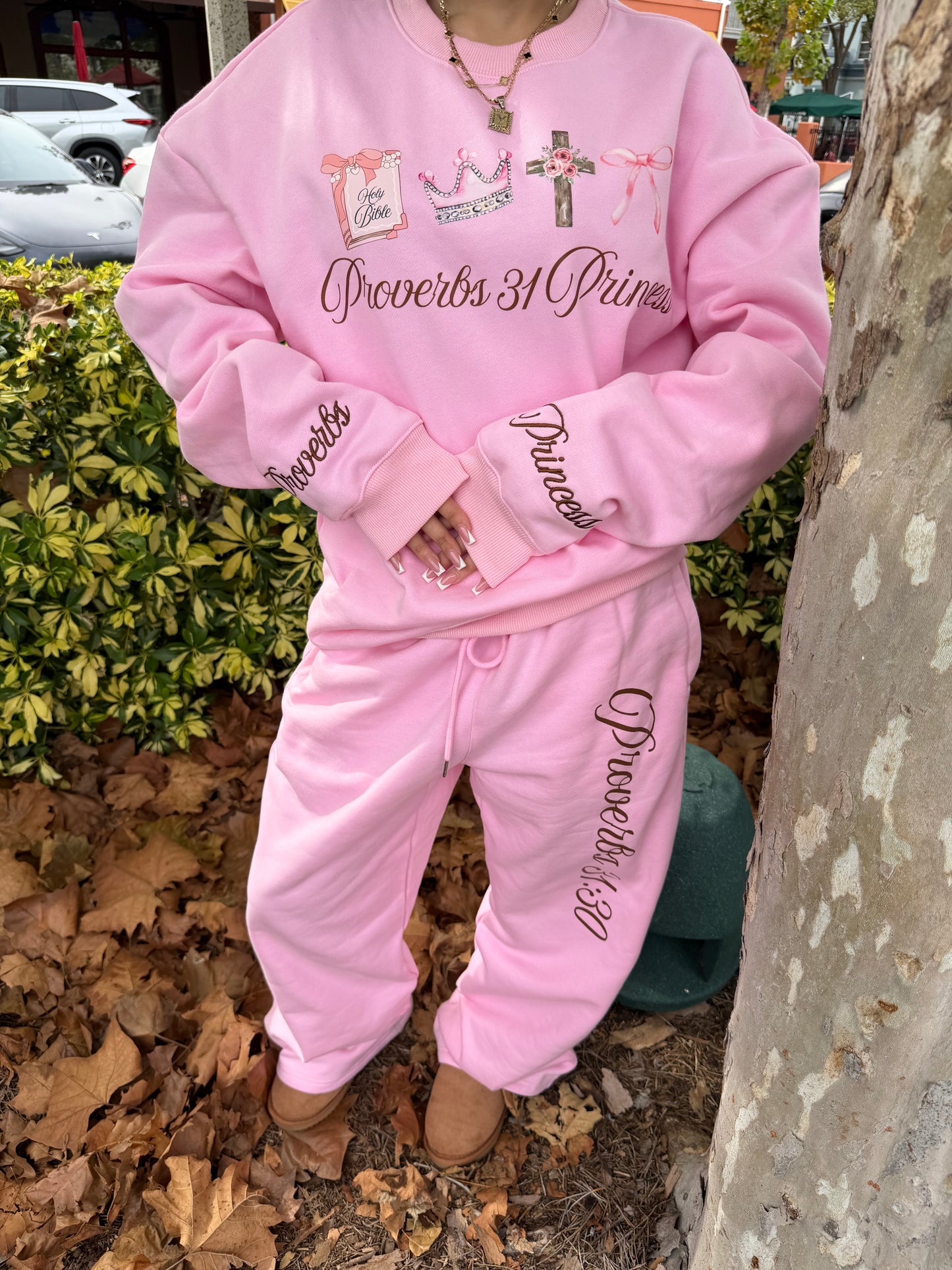 Proverbs 31 Pink Crewneck